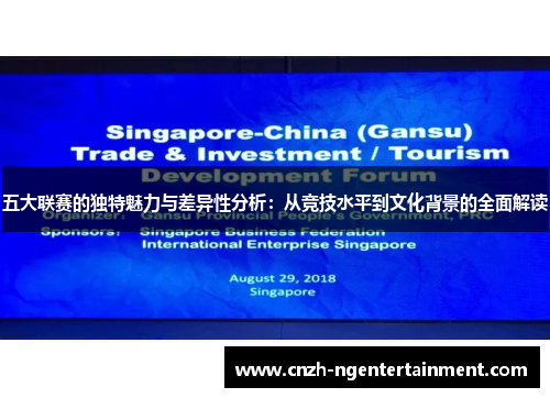 五大联赛的独特魅力与差异性分析：从竞技水平到文化背景的全面解读