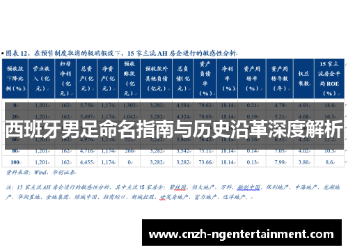 西班牙男足命名指南与历史沿革深度解析